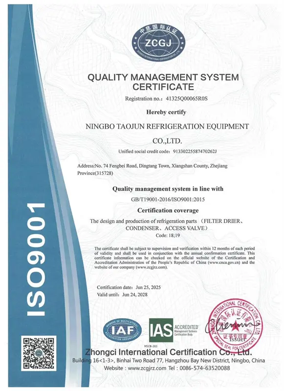 ISO 9001 Certificate 1